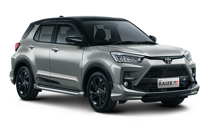 Silver Metallic + Black